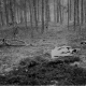 Tatortfoto der Ermordung Spangenbergs im Wald zwischen Loosen und LÃ¼btheen